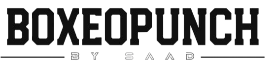 boxeopunch.com